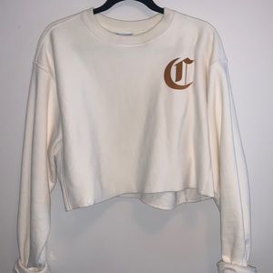 Champion cropped hoodie